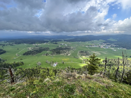 23-05-23 11-15-17 5581